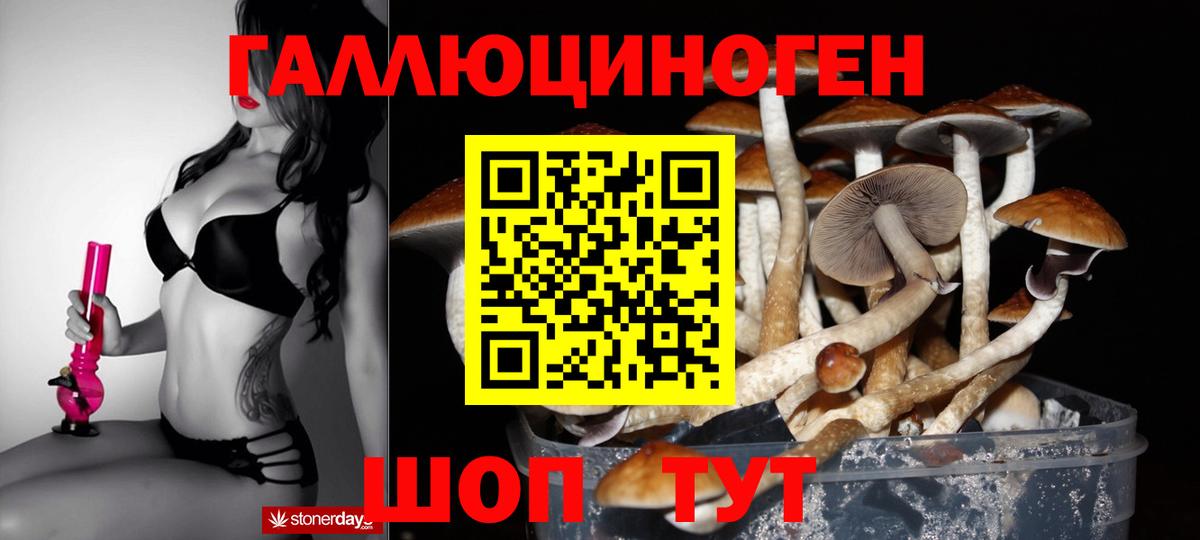 Псилоцибиновые грибы Psilocybine cubensis  Вход с VPN  Сертолово 
